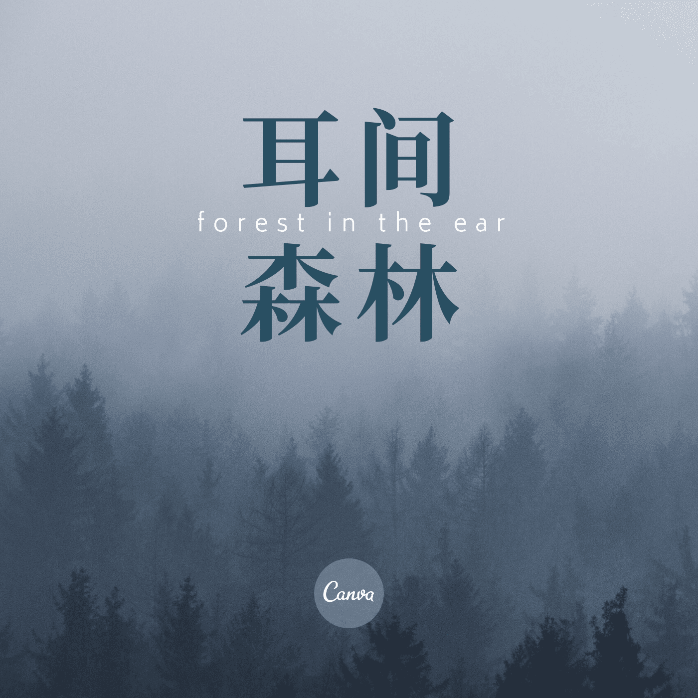 星空夜曲的回忆