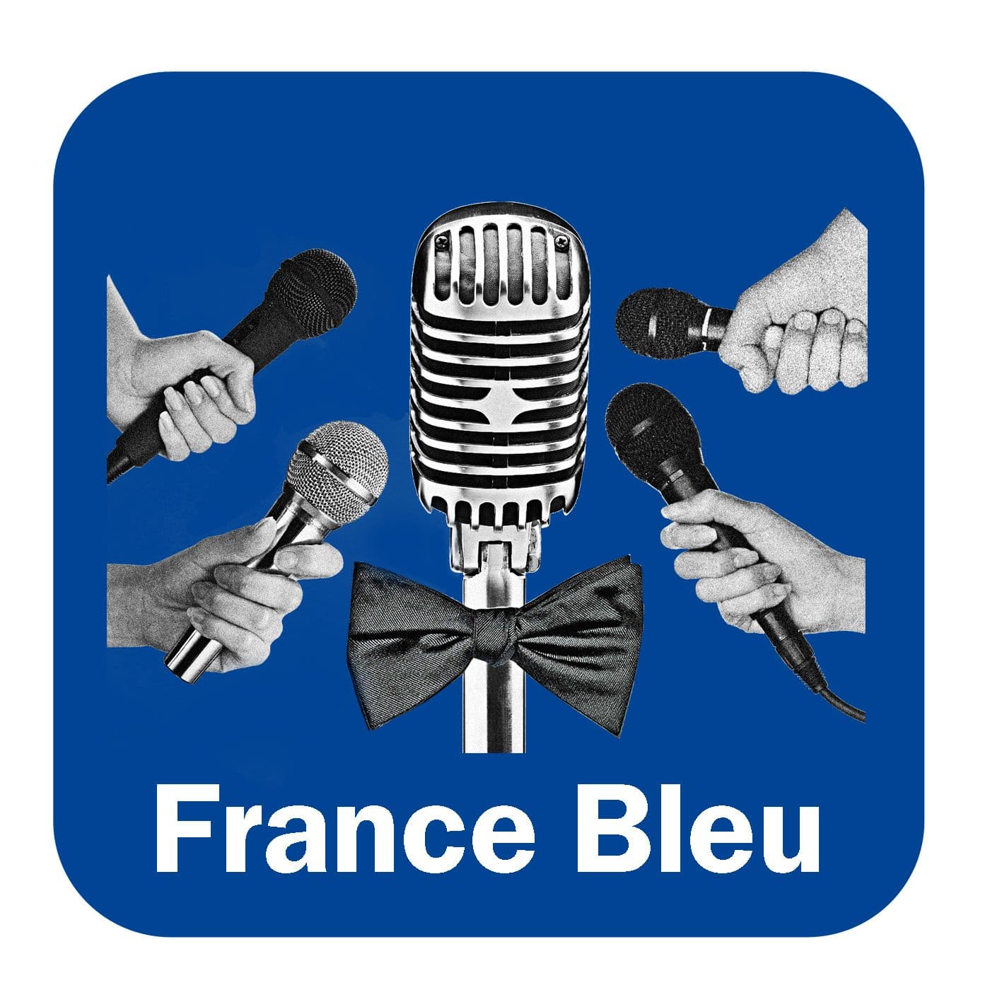 Élections législatives 2022 - Podcasts