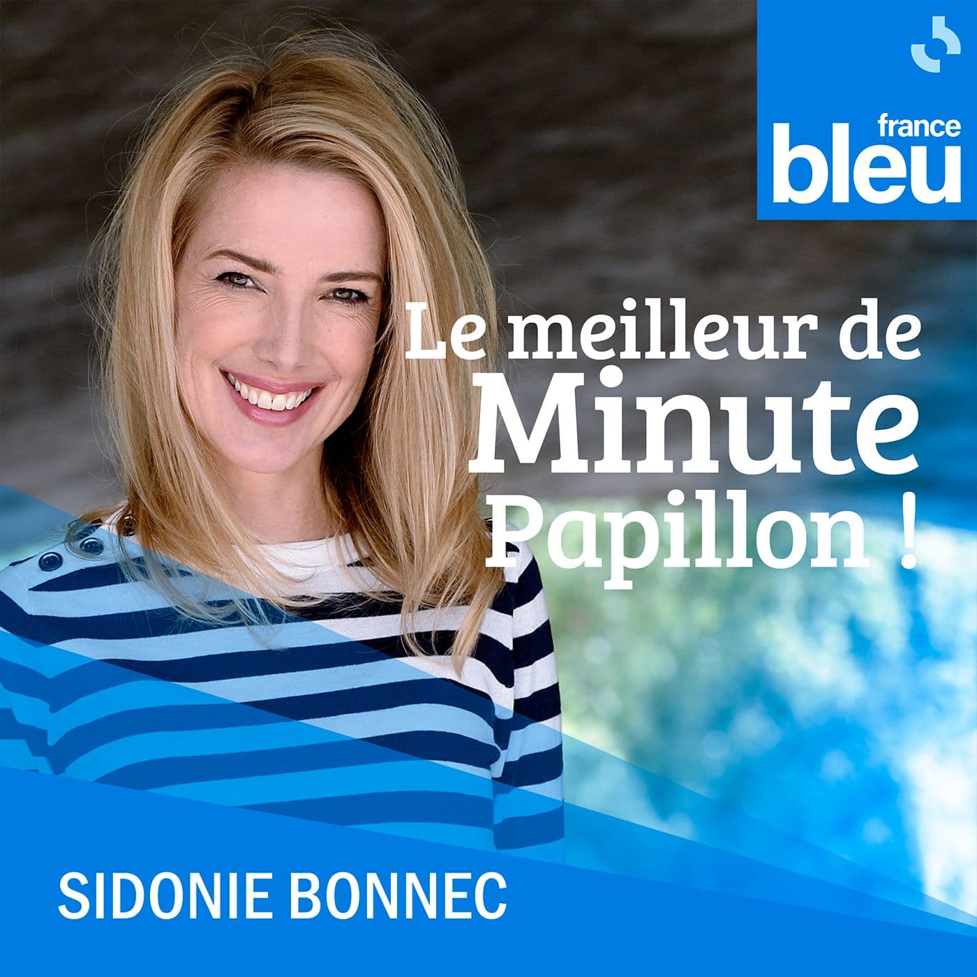 Le meilleur de Minute Papillon ! - Podcasts