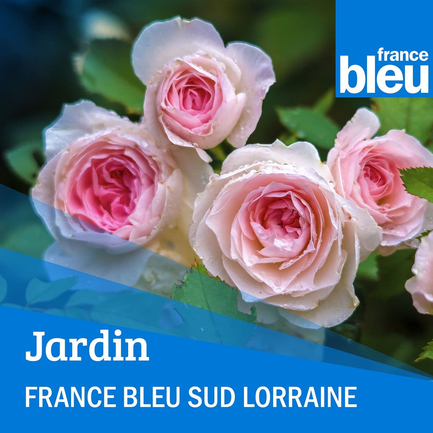 Jardin'gue ! - FB Sud Lorraine - Podcasts