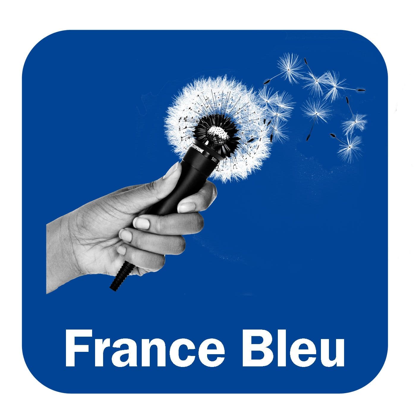La petite bête qui monte - Podcasts