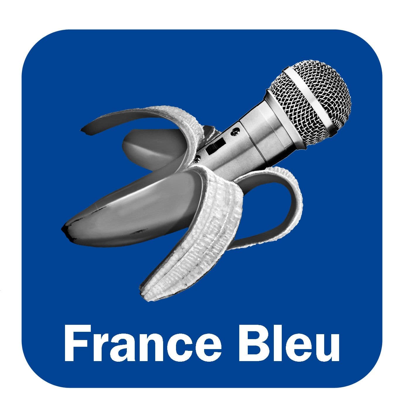 Le sujet auquel vous n'avez pas pensé - Podcasts