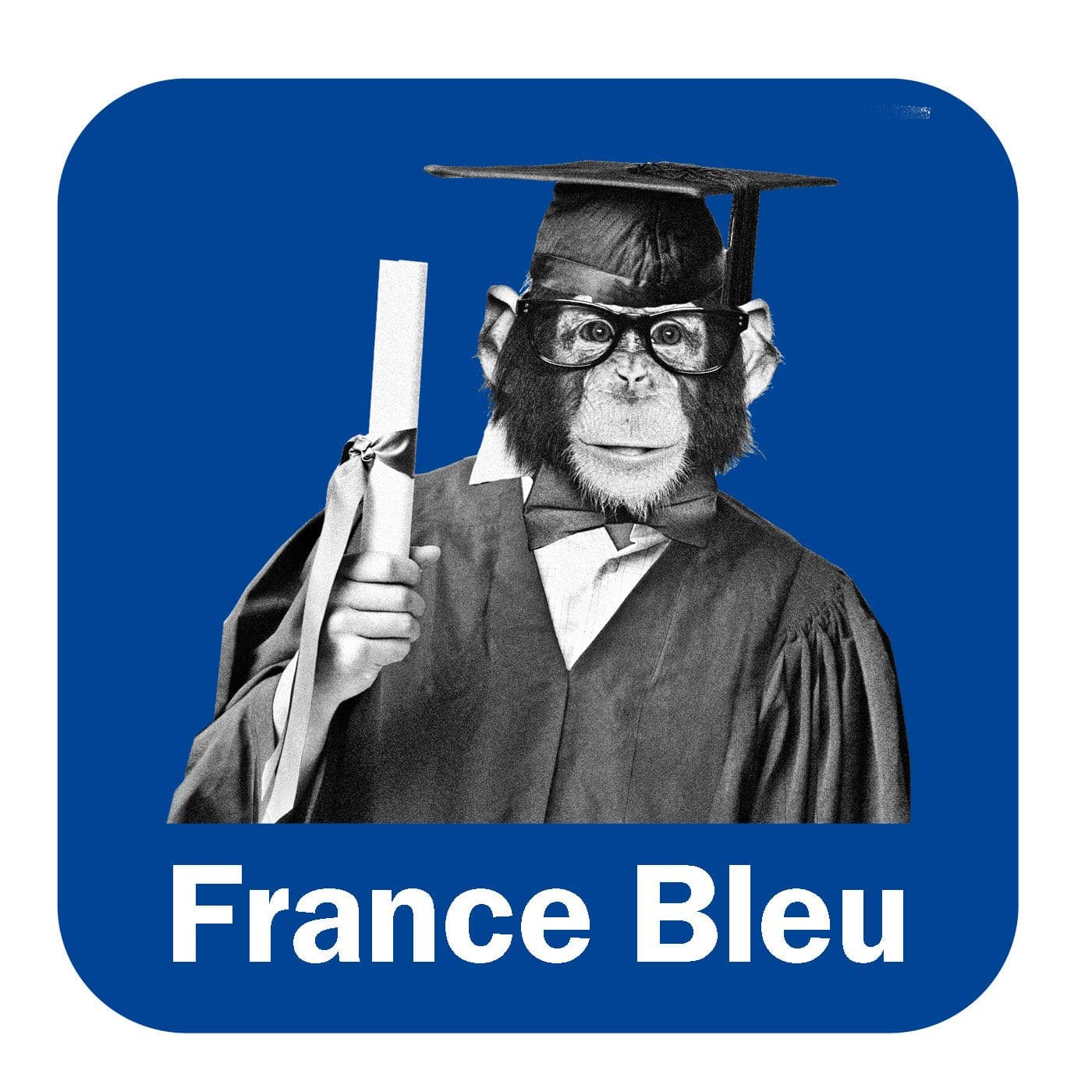 Nos Animaux France Bleu Belfort Montbéliard - Podcasts