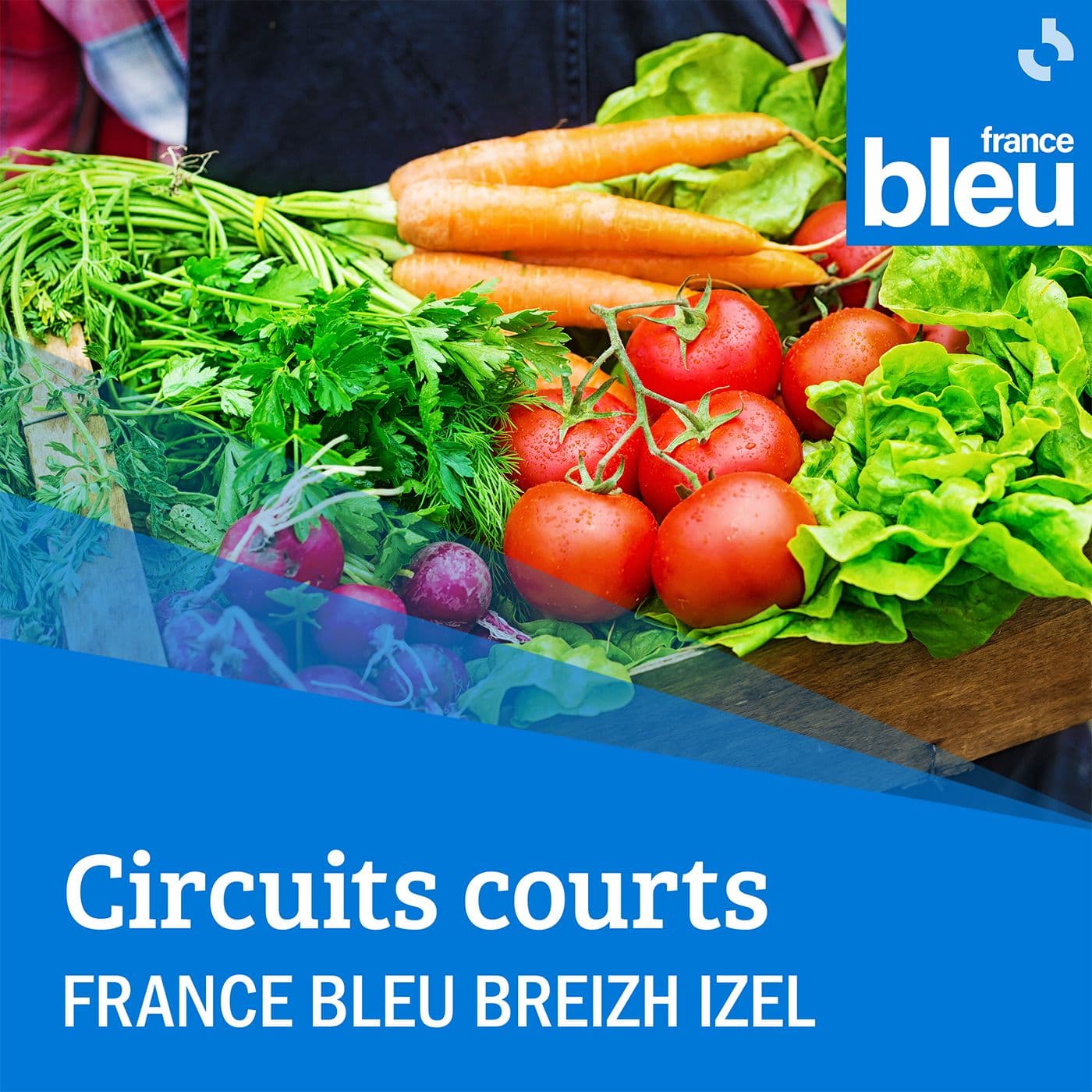 Circuits courts / France Bleu Breizh Izel - Podcasts