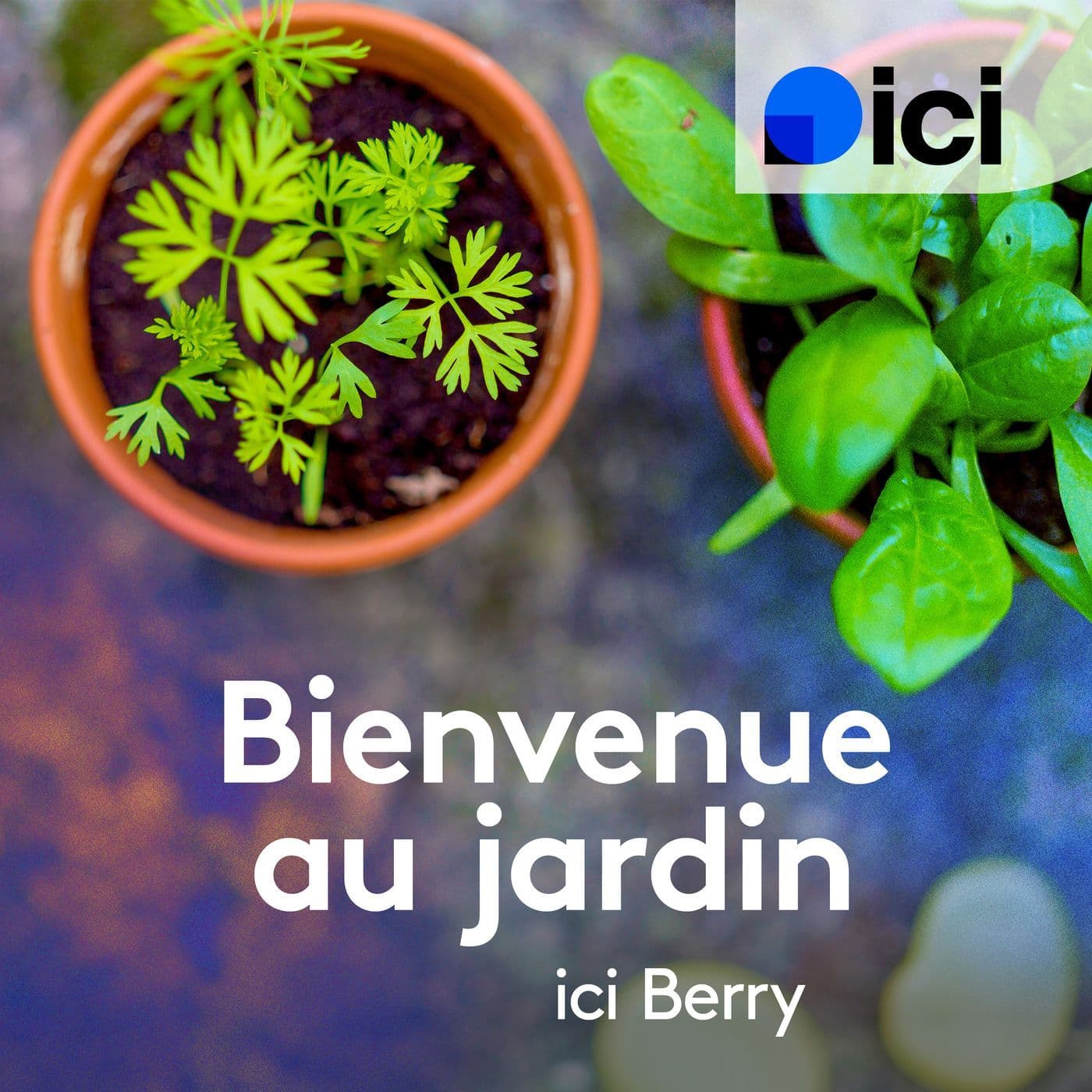 Bienvenue au jardin, ici Berry - Podcasts