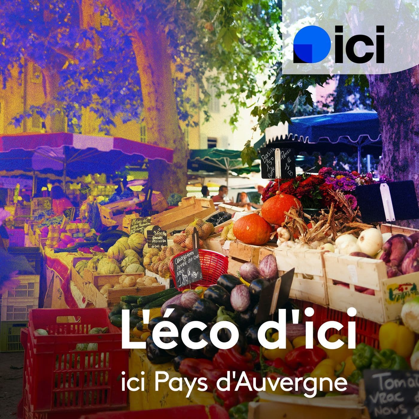 L'éco d'ici en Auvergne - Podcasts
