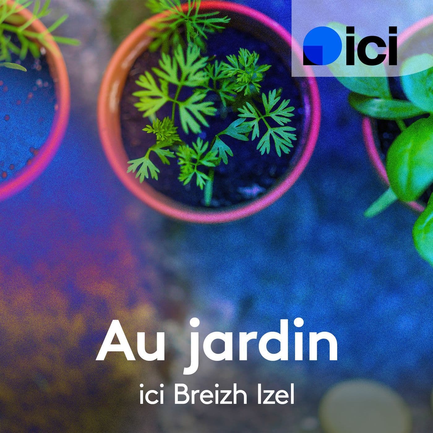 Au jardin, ici Breizh Izel - Podcasts