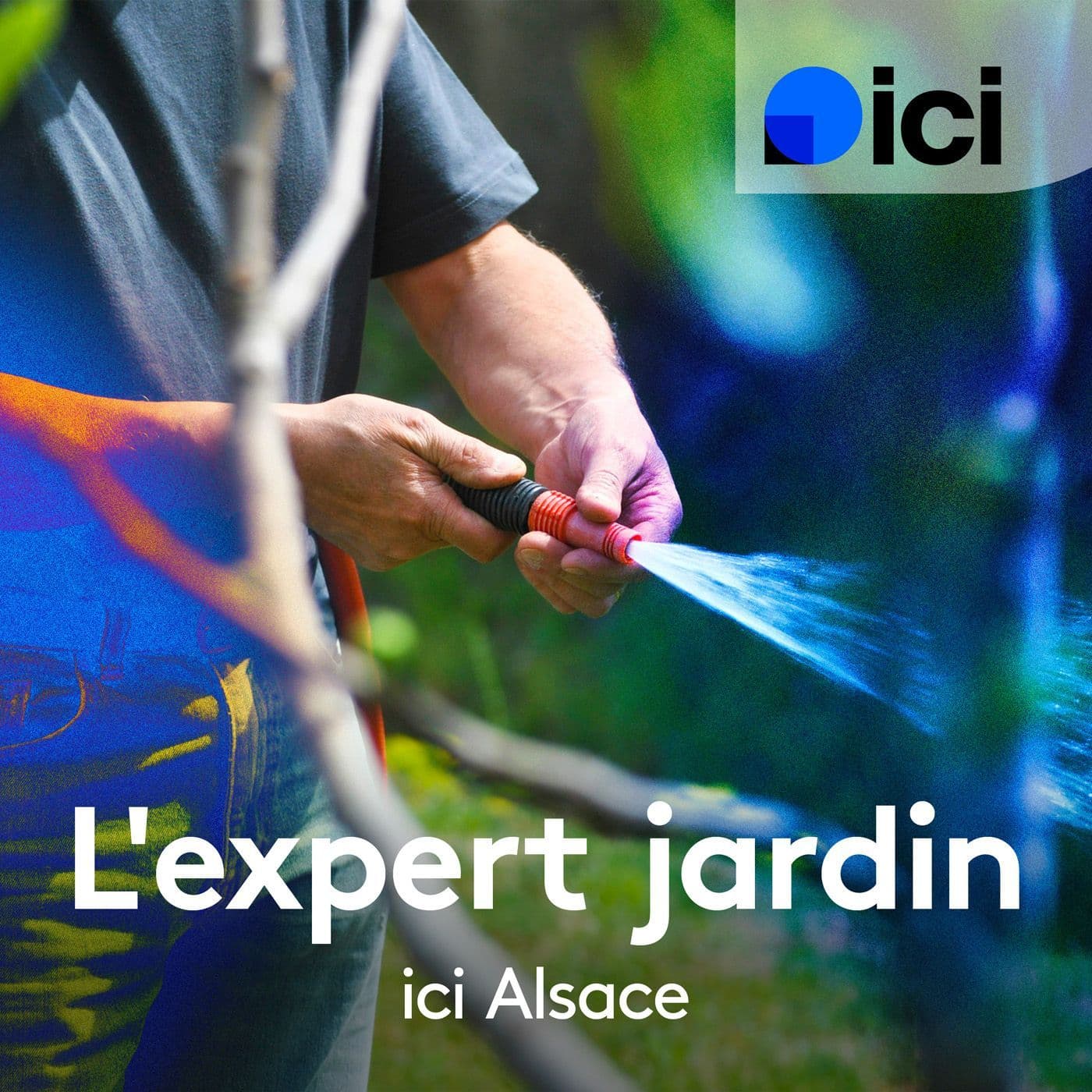 L'expert jardin, ici Alsace - Podcasts