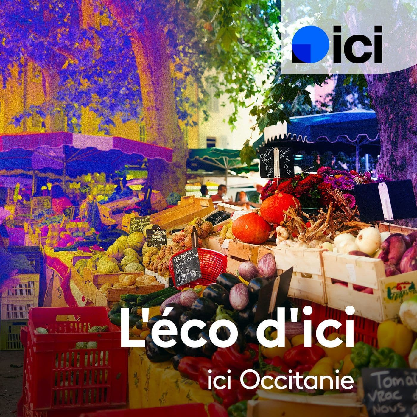 L'éco d'ici - ici Occitanie - Podcasts