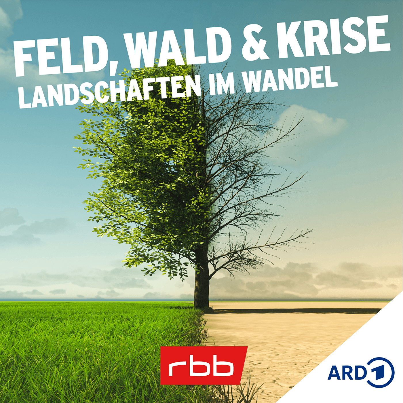 Feld, Wald und Krise – Landschaften im Wandel - Podcasts
