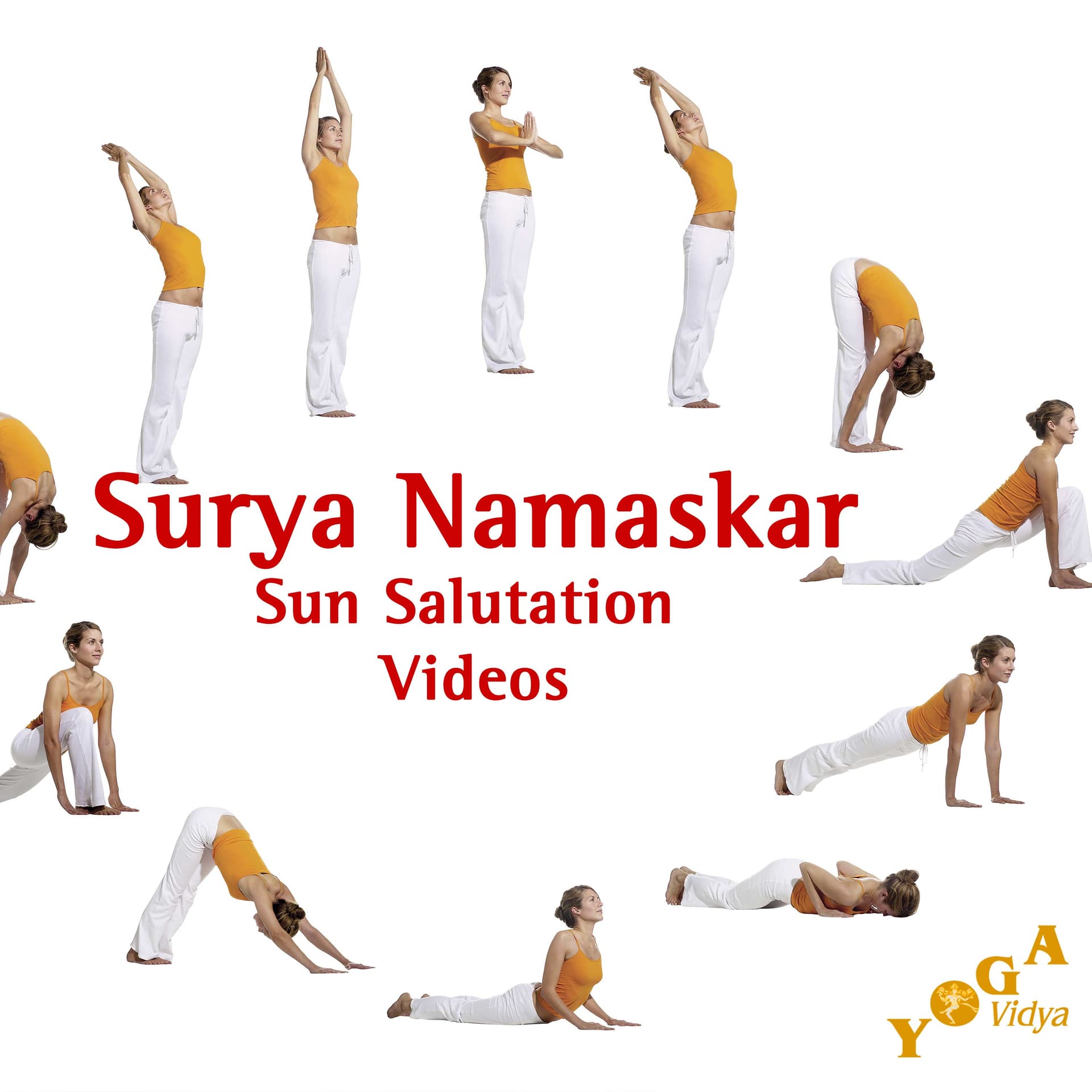 Surya Namaskar Sun Salutation - Variations for Beginners and Advanced - Yoga Vidya Video - Podcasts
