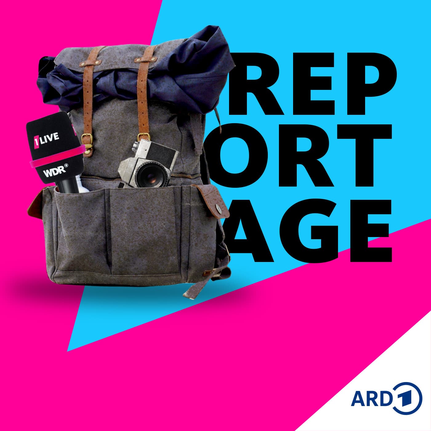1LIVE Reportage - Podcasts