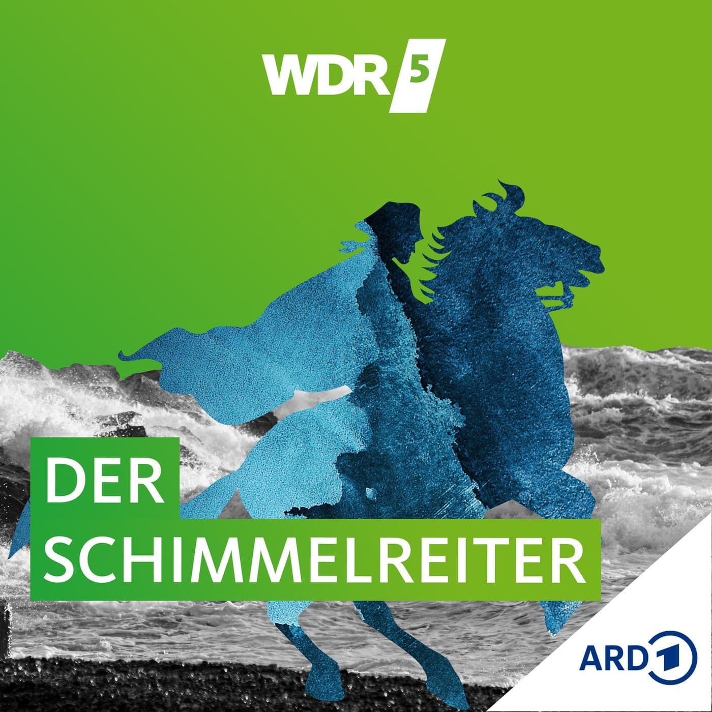 WDR 5 Der Schimmelreiter - Hörbuch - Podcasts
