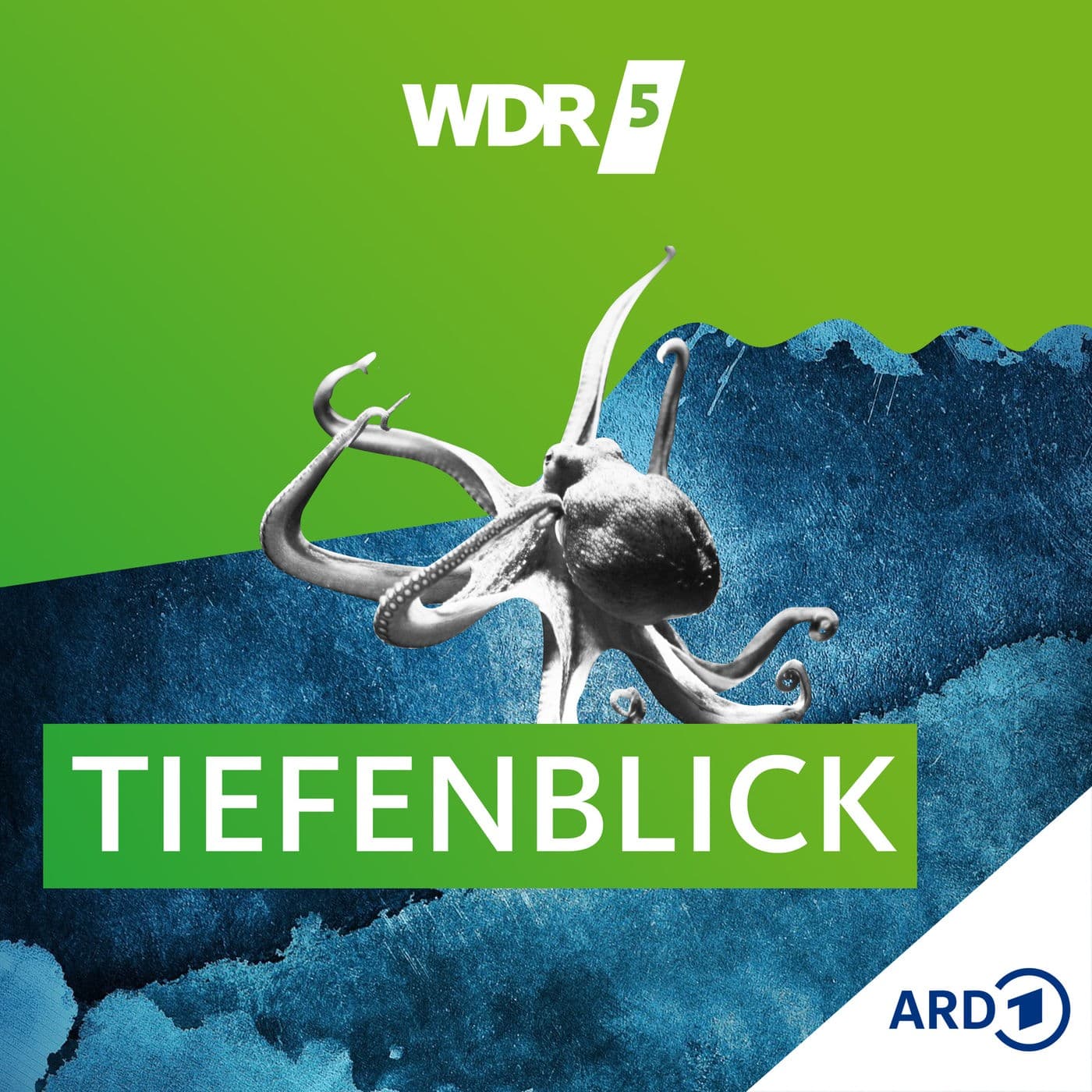 WDR 5 Tiefenblick - Podcasts